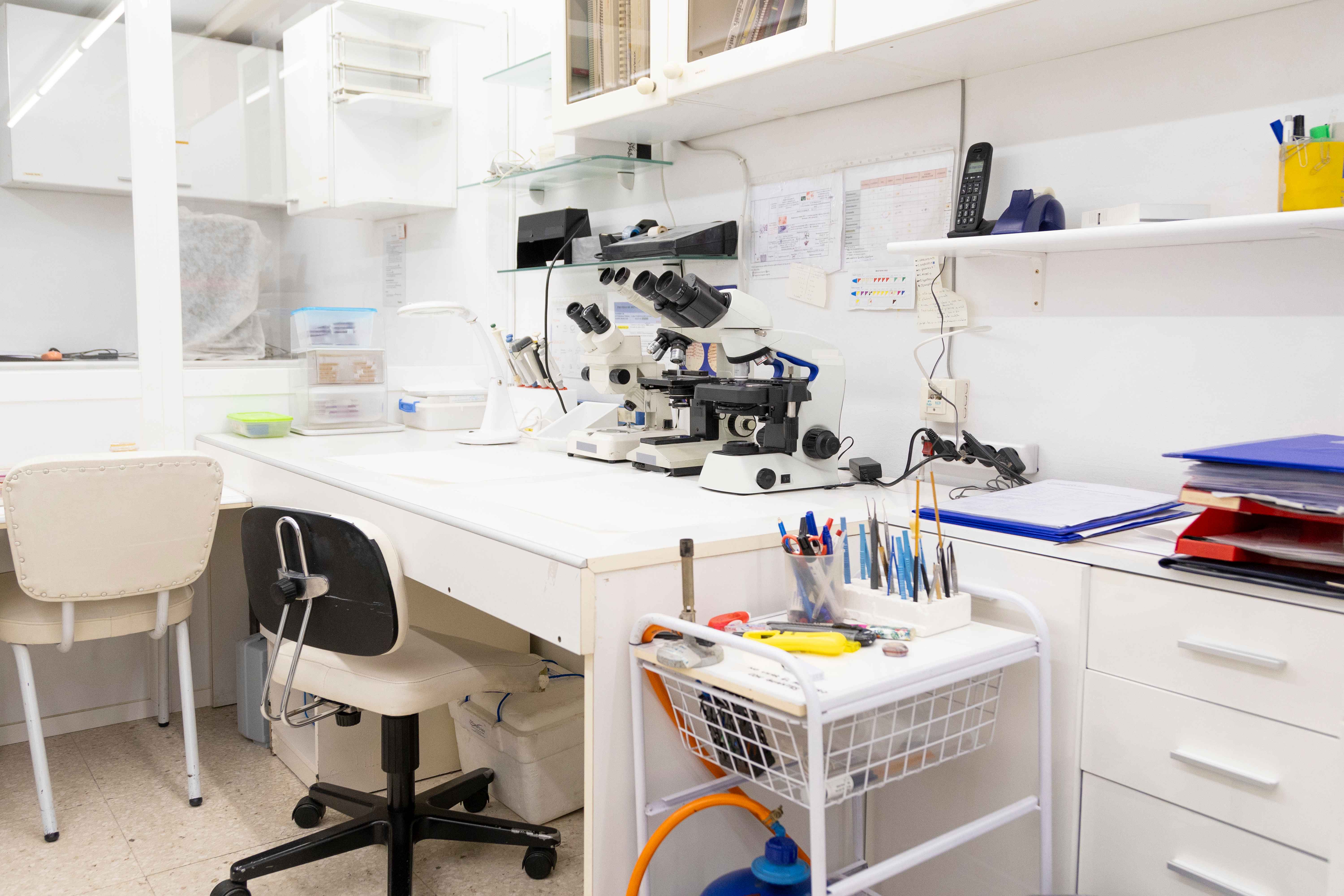 Medical Laboratory Technician